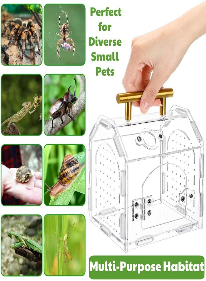 Tlence Jumping Spider Enclosure with Handle, Acrylic Reptile Habitat with One-Click Magnetic Closure, Front Opening Small Terrarium with Ventilation Holes for Tarantulas, Frogs, Gecko, Mantis - Image 4